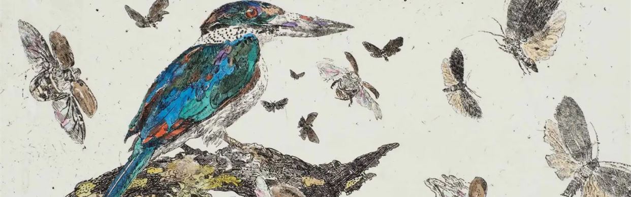 Life With Birds - In Conversation with John Wolesley