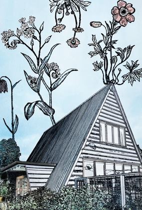 European printmaking and Australian gardens - drawings made into printing plates using the sun