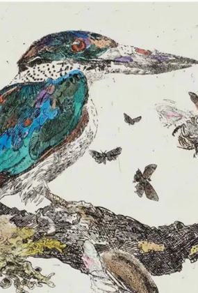 Life With Birds - In Conversation with John Wolesley